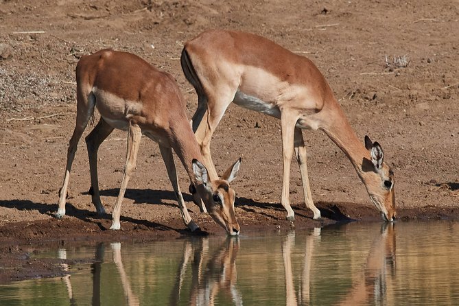 1 days Tanzania Sharing Joining group Safari - Ngorongoro Crater - Price and Value: What $270 Really Covers