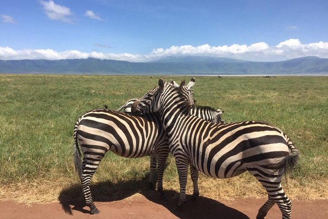 1 Daytrip Amazing to Ngorongoro Crater from Arusha or Moshi - Key things to know before you go