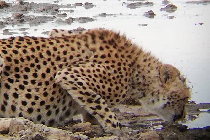 1 Daytrip Amazing to Ngorongoro Crater from Arusha or Moshi - Getting there from Arusha or Moshi with a 6:00 am game plan