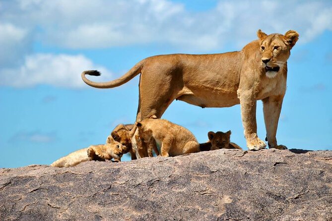 1 Daytrip Amazing to Ngorongoro Crater from Arusha or Moshi - Flamingos and water birds: the surprising variety