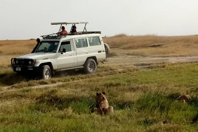 1 Daytrip Amazing to Ngorongoro Crater from Arusha or Moshi - The 4x4 with viewing roof: why it changes your viewing