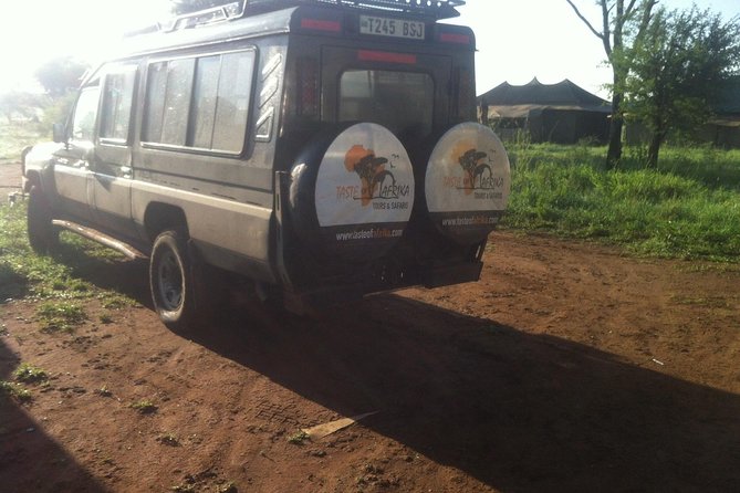 1 Daytrip Amazing to Ngorongoro Crater from Arusha or Moshi - Entering the crater: where the animals actually are