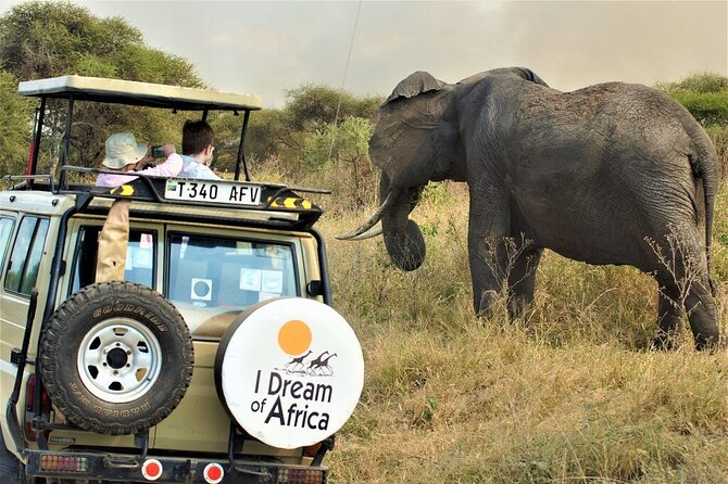 10-Day Amazing Comfort Camping Safari - Lake Manyara and Mto Wa Mbu: Birding Meets Real Local Life