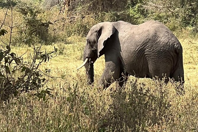 10 Day Serengeti, Ngorongoro Crater and Zanzibar Private Tour - Key highlights you will feel on this trip