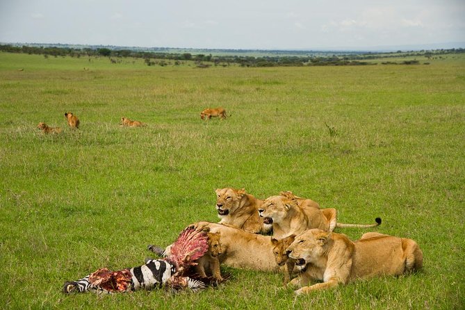 10 days family safari Tanzania - Lake Manyara: Tree-Climbing Lion Odds and Big Rift Valley Views