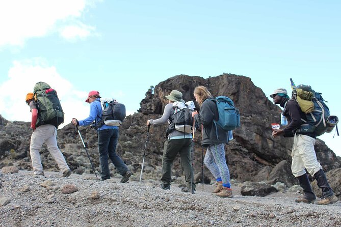 10 Days Machame Route Kilimanjaro Climb - Day 1 in Moshi: airport pick-up, hotel reset, and zero-pressure breathing time