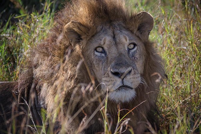 10 Days Mikumi Ruaha Selous Experience - Key highlights to know before you go