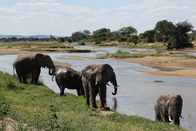 10 days Safari to Nyerere NP, Ruaha NP, Udzungwa NP and Mikumi NP + Isimila Site - Key Highlights at a Glance