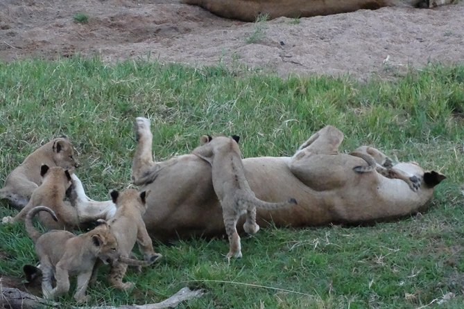 10 days Safari to Nyerere NP, Ruaha NP, Udzungwa NP and Mikumi NP + Isimila Site - Morogoro Region Wilderness Walking Safari with an Armed Ranger