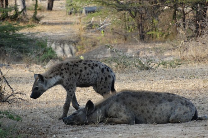 10 days Safari to Nyerere NP, Ruaha NP, Udzungwa NP and Mikumi NP + Isimila Site - Udzungwa Mountains National Park: Sanje Falls, Altitude Views, and Monkey Spotting