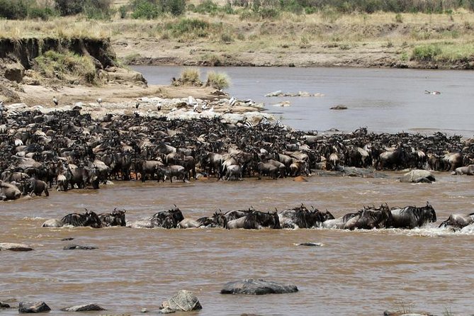 12 Days Amazing Tanzania Wildlife and Cultural Experience - Tarangire’s elephants: why the sunset and early starts matter