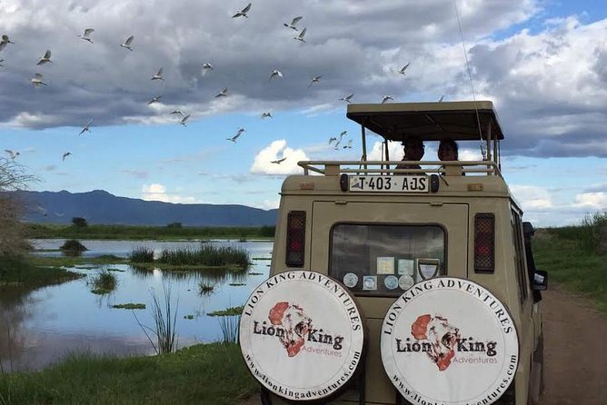 12 days Luxury Tanzania Honeymoon Safari and Zanzibar - Day 1 in Arusha: A Clean Start Before the Safari Rush