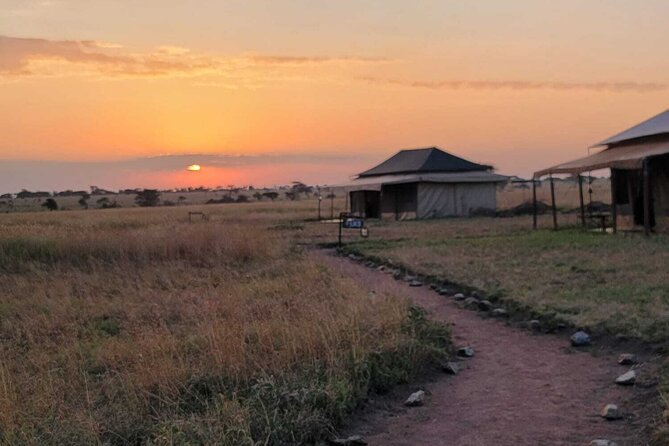 12 Days Safari Tour around Mt Kilimanjaro off the beaten - Lake Manyara: the fairytale forest, monkeys, and big-bird energy