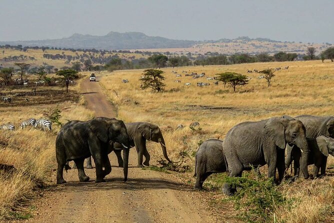 12 Days Safari Tour around Mt Kilimanjaro off the beaten - Lake Natron and Engare Sero Gorge: Maasai-led bird watching at a remote salt lake