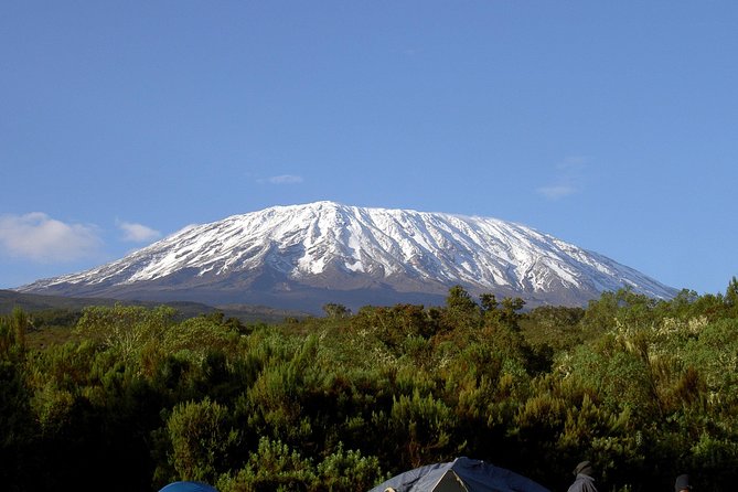 13 Days Adventure in Tanzania - Trekking and Wildlife Safari - Serengeti National Park: Why the Big-Five Odds Feel Real