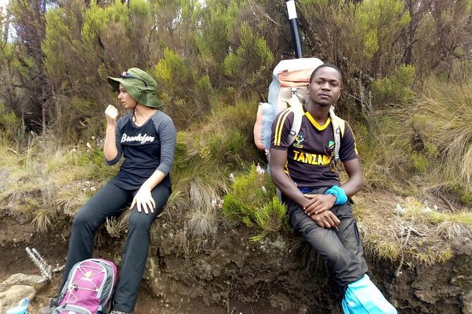 13 Days Adventure in Tanzania - Trekking and Wildlife Safari - Machame Route: From Rainforest to Icy Tops