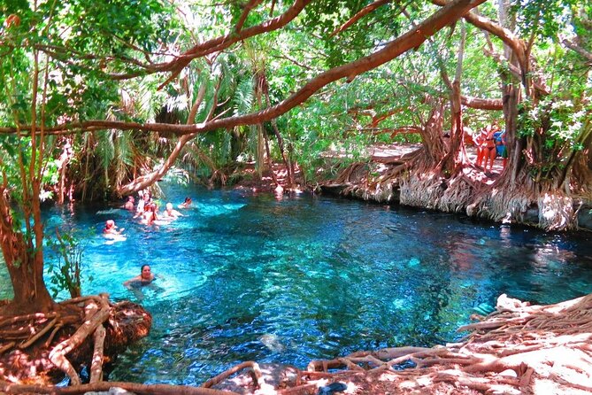 2-Day Masai Village Camping Experience and Kikuletwa Hot Spring - Quick hits you will care about