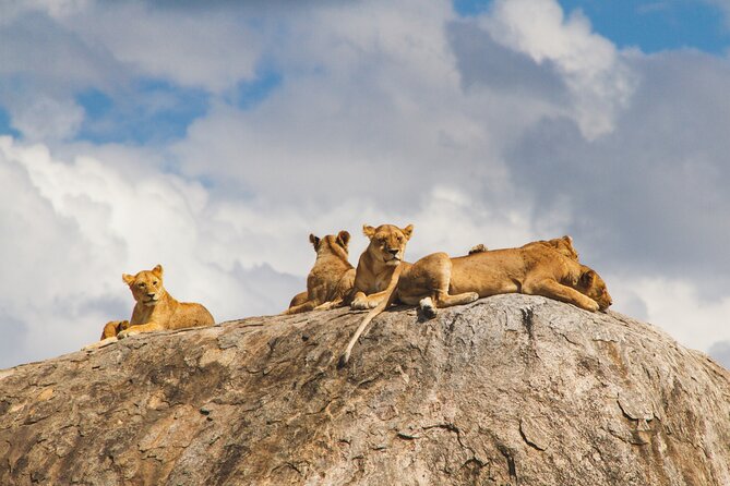 2-Day Private Guided Tour to Tarangire and Ngorongoro - Two Parks, One Big Wildlife Funnel in Two Days