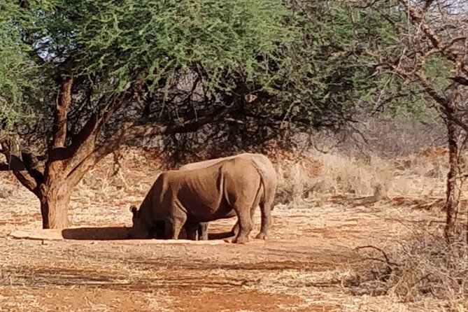 2-Day Private Guided Tour to Tarangire and Ngorongoro - Big Wildlife Chances, Realistic Expectations