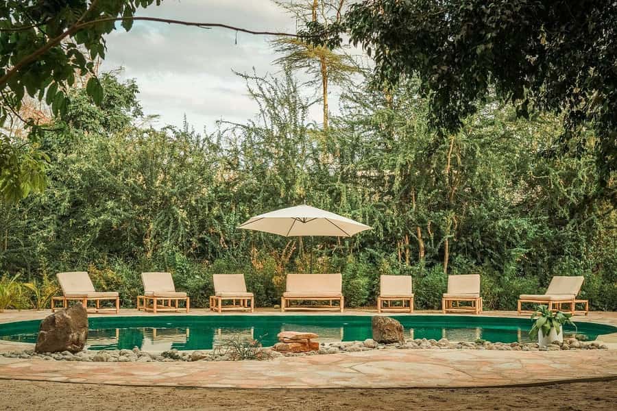 2-Day Private Luxury Safari from Zanzibar with Flights - Key things to know before you go