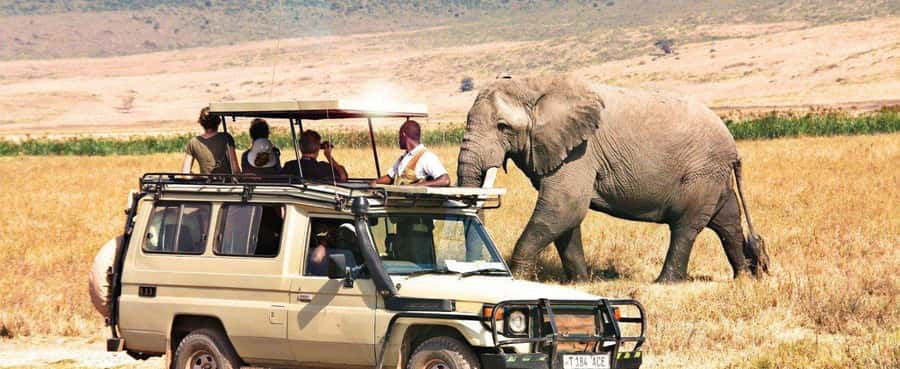 2-Day Private Luxury Safari from Zanzibar with Flights - How this 2-day Zanzibar luxury safari actually fits together
