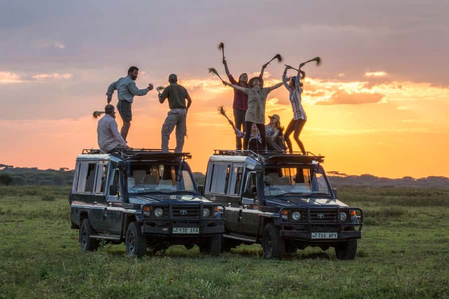 2-Day Private Luxury Safari from Zanzibar with Flights - Day 2: Ngorongoro Crater descent, picnic lunch, and the big-animal stage