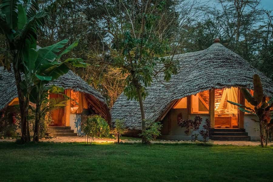 2-Day Private Luxury Safari from Zanzibar with Flights - Should you book this 2-day private luxury safari from Zanzibar?
