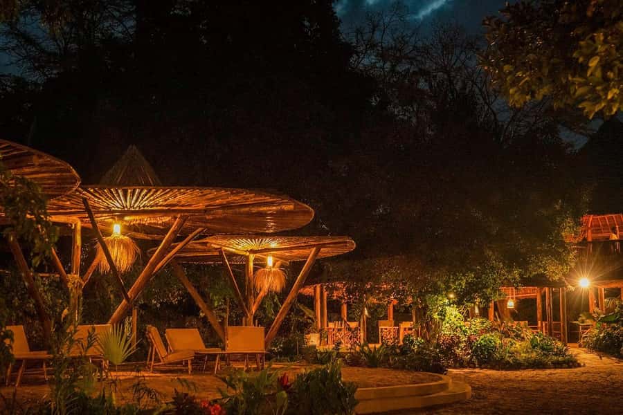 2-Day Private Luxury Safari from Zanzibar with Flights - FAQ