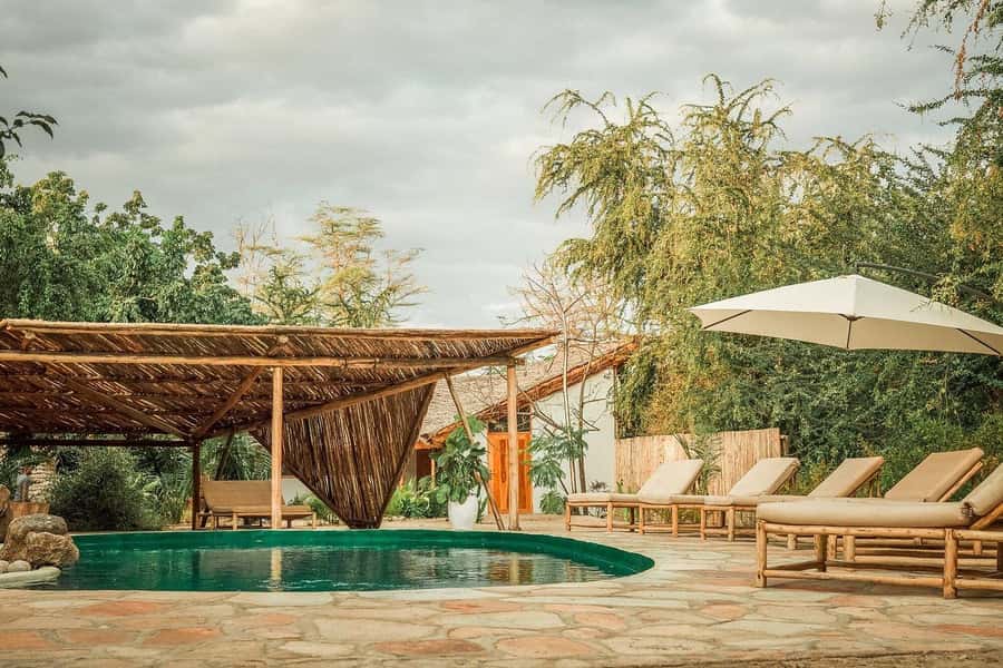 2-Day Private Luxury Safari from Zanzibar with Flights - Day 1: From Zanzibar flights to Tarangire’s elephants