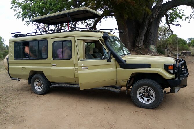 2-Day Private Mikumi National Park Tour with Pickup - Mikumi National Park Game Viewing: Big Animals and the Realistic Expectations
