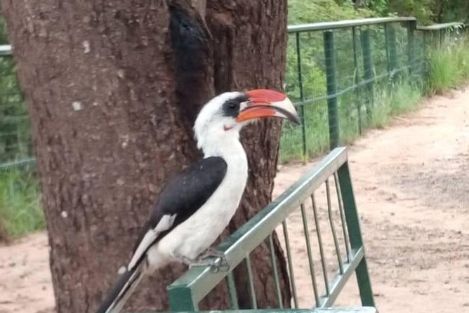 2 Day Safari To Mikumi National Park + transfers from Dar Es Salam - Price and value: what you’re paying for, and where the value comes from