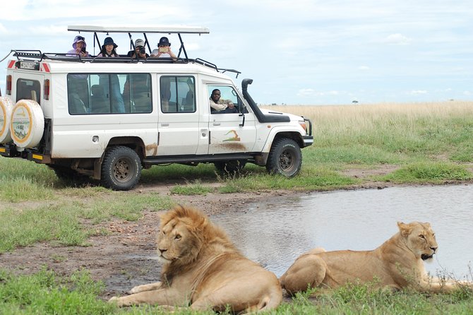 2 Day Serengeti Safari Experience from Mwanza - Vehicle comfort that makes long drives easier (and better for photos)