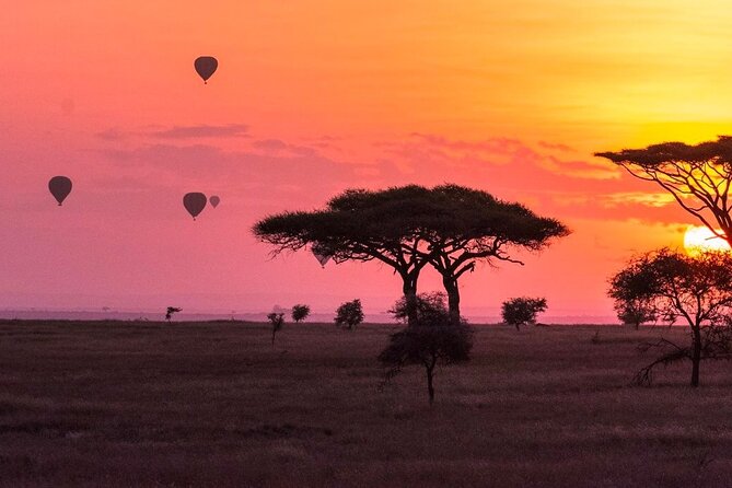 2-Day Sublime Safari to Tarangire and Ngorongoro Safari - Day 1 in Tarangire: Elephants, Maasai Views, and River-Season Safari Logic