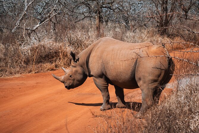 2 Day Tanzania Safari in Tarangire and Ngorongoro Crater - Food, Lodging, and the Pace Between Parks