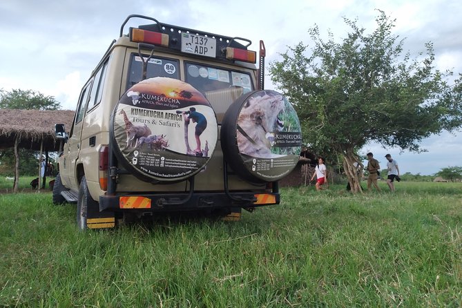 2 Day Wildlife Experience and Masai Culture Mikumi Park - Price and value, what $552 buys you