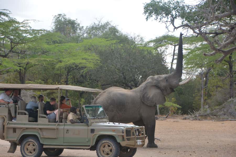 2 Day Zanzibar to Nyerere NP (Selous GR) By Flight - Zanzibar to Mtemere Airstrip: How the Flight Changes the Safari