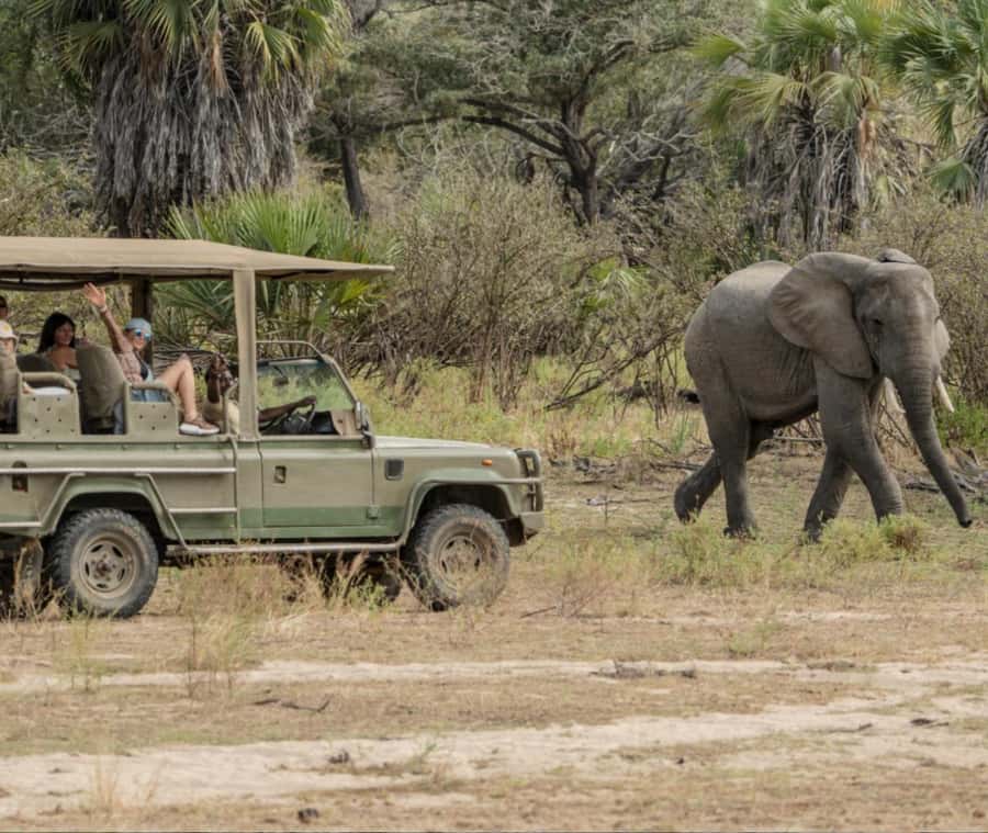 2 Day Zanzibar to Nyerere NP (Selous GR) By Flight - Selous Safari Lodge: A Comfortable Base Just Outside the Park