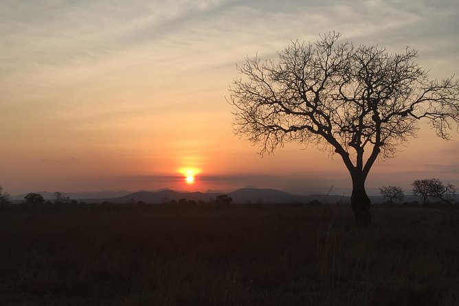 2 Days 1 Night Mikumi National Park - Price and value: $520 per person for a private Mikumi hit