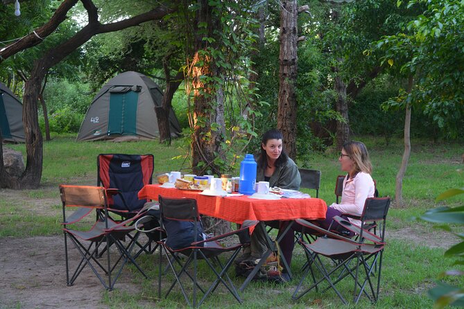 2 Days 1 Night Northern Joining Safari Private Tour - Ngorongoro Crater on Day Two: rhino, lions, and a full crater push