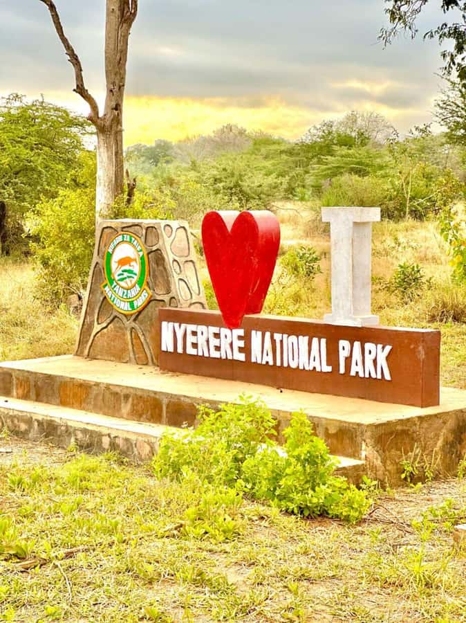2 Days 1 Night Nyerere National Park from Zanzibar by flight - Quick highlights