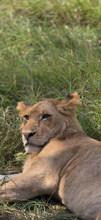 2 Days 1 Night Nyerere National Park from Zanzibar by flight - Who should book this flight-based Nyerere itinerary