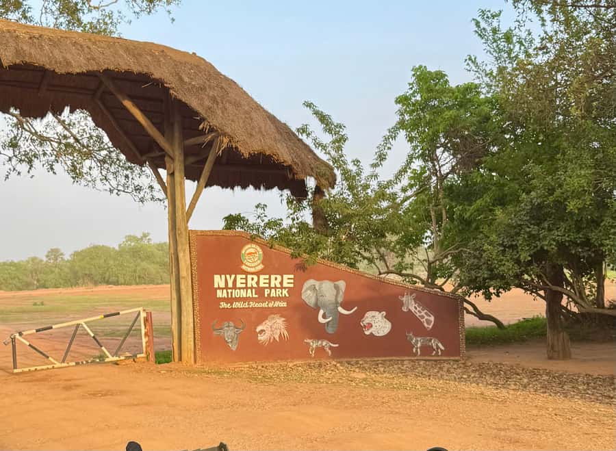 2-Days 1-Night Nyerere National Park from Zanzibar by flight - Day 1 Game Drive in Nyerere (Selous), Plus Hot Lunch on Safari Time