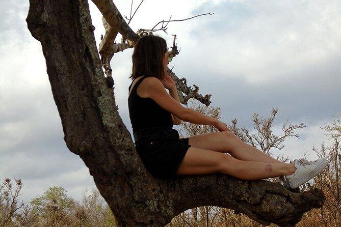 2 Days /1 Night safari to Mikumi - Day 2: second morning drive, then Morogoro or Msolwa lunch back to Dar