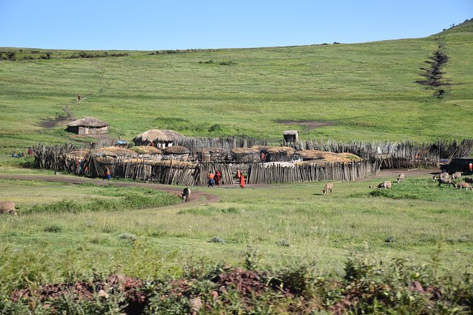 2 Days / 1 Night Tanzania Safari Tour - Two Parks in Two Days, Without the Chaos