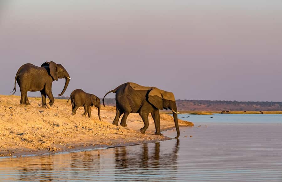 2 Days 1 Night Tarangire & Ngorongoro Crater - Tarangire to Ngorongoro in two days, 1 night