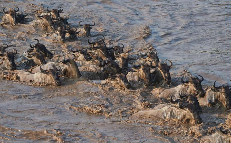 2 Days 1 Night Tarangire & Ngorongoro Crater - Day 1: Arusha to Tarangire National Park, full-day game drive