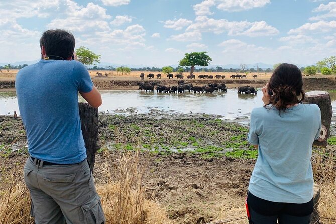 2 Days Best Safari to Mikumi National Park - Practical Tips for a Smooth Mikumi Safari