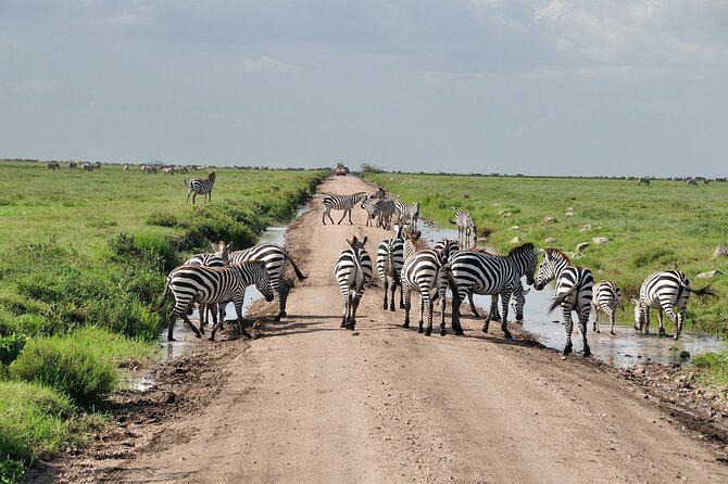 2 Days Camping Group Joining Tarangire Ngorongoro Crater Safari - Key highlights you should care about