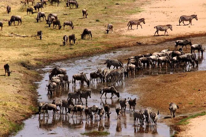 2 Days Camping Group Joining Tarangire Ngorongoro Crater Safari - Practical tips that will make your two days smoother