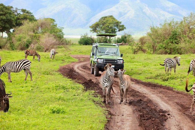 2 Days Camping Group Joining Tarangire Ngorongoro Crater Safari - Day 1 in detail: game drives, a picnic lunch, and Twiga Lodge